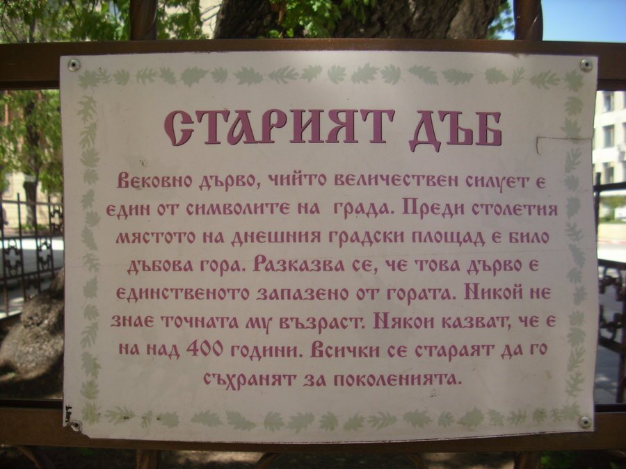 Старият дъб - Тервел