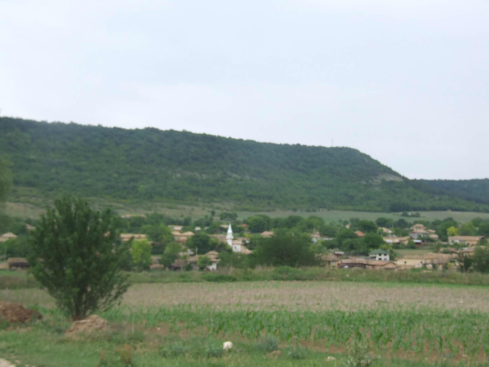 Захари Стояново