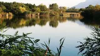 Язовир "Разсадника"