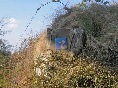 Защитена местност "Дренето"