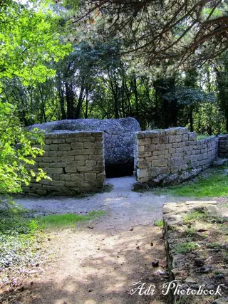 Даул таш (Капище) - с. Мадара