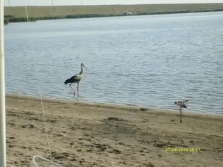 Язовир "Овчарица"