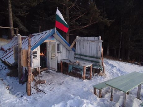 Заслон "Синята стрела"