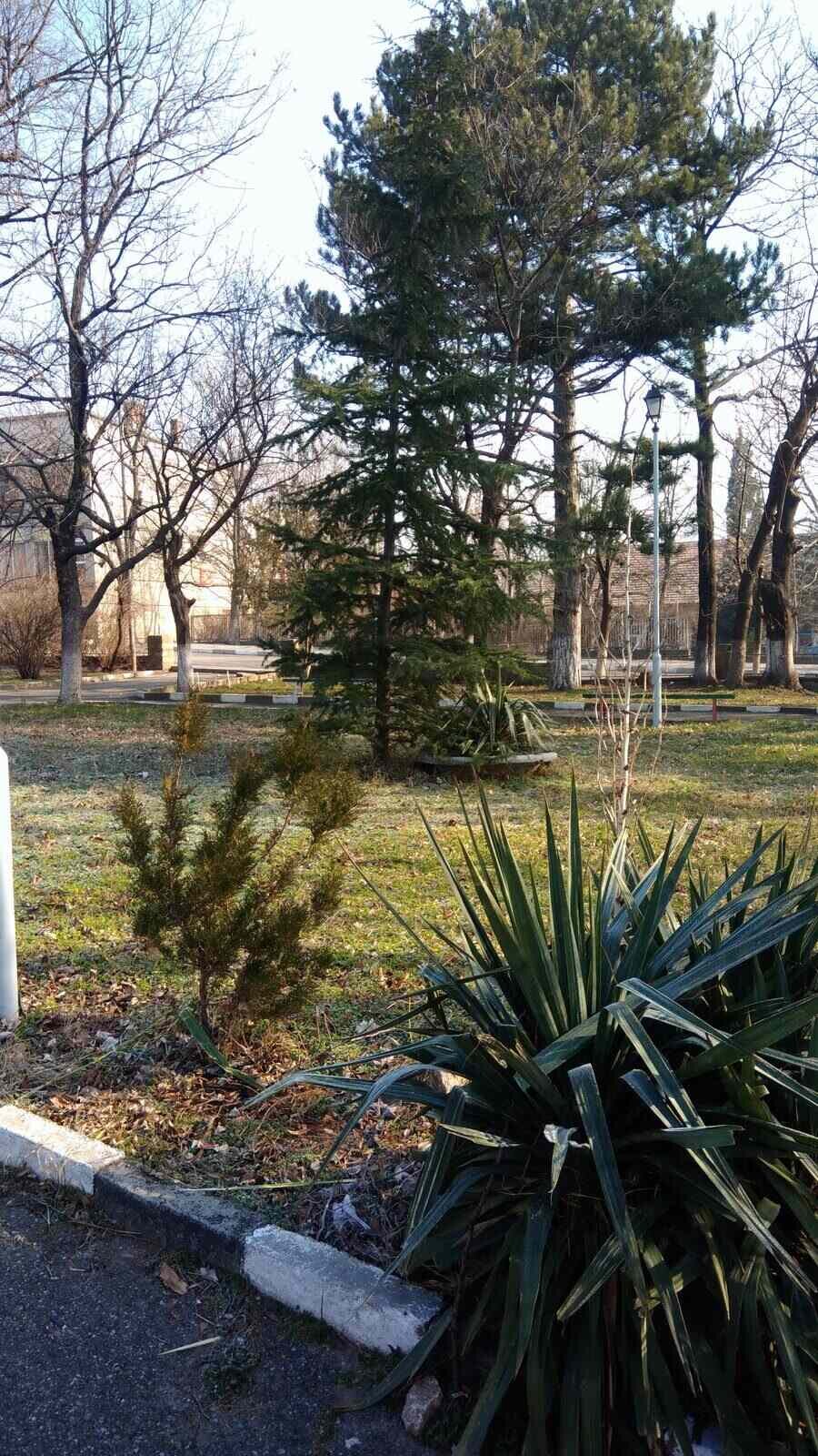 Градски парк - Шивачево