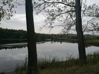 Парк край Езерото - Лесичoво