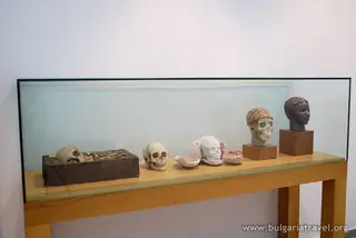 Национален антропологичен музей - София