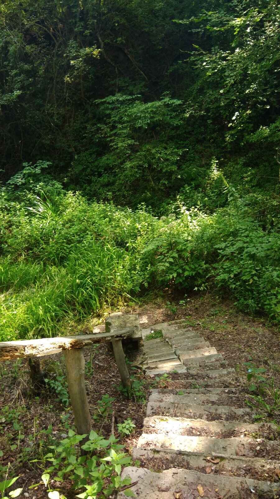 Защитена местност "Река Веселина"