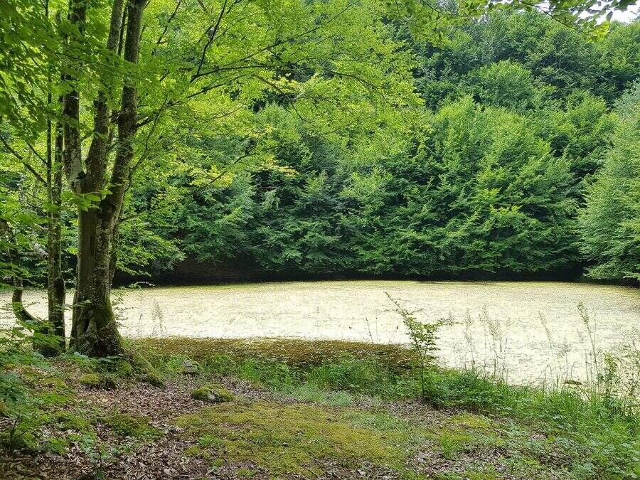 Езеро "Острец"