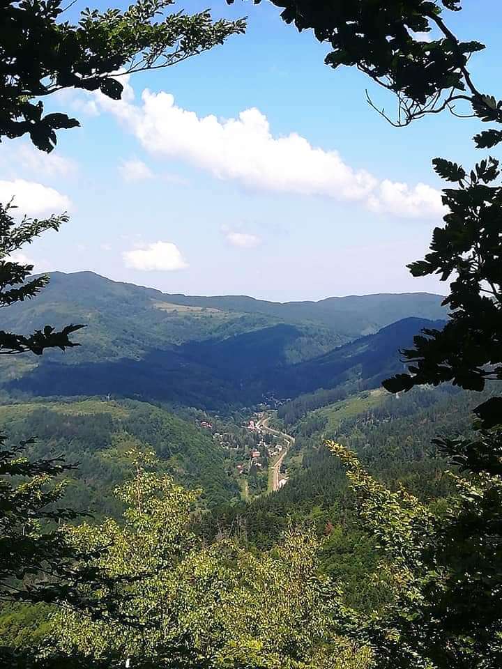 Борущица