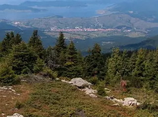 Резерват "Дупката"