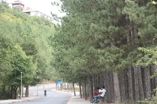 Лесопарк "Момчил юнак"