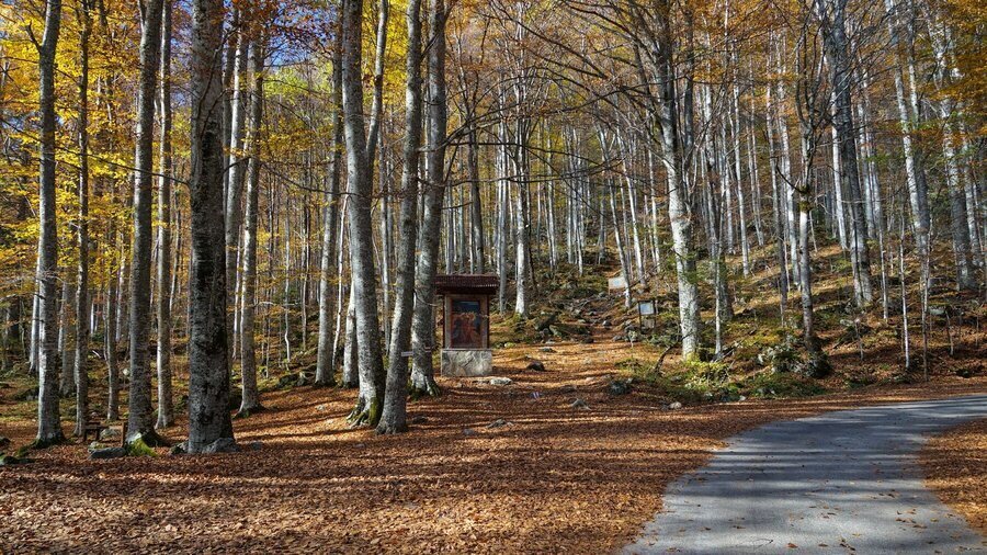 Църква "Успение на Св. Иван Рилски" - Рилски манастир