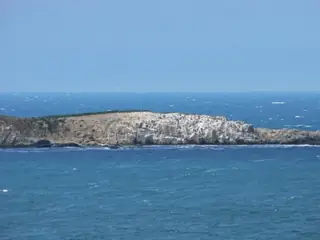 Остров "Свети Петър"