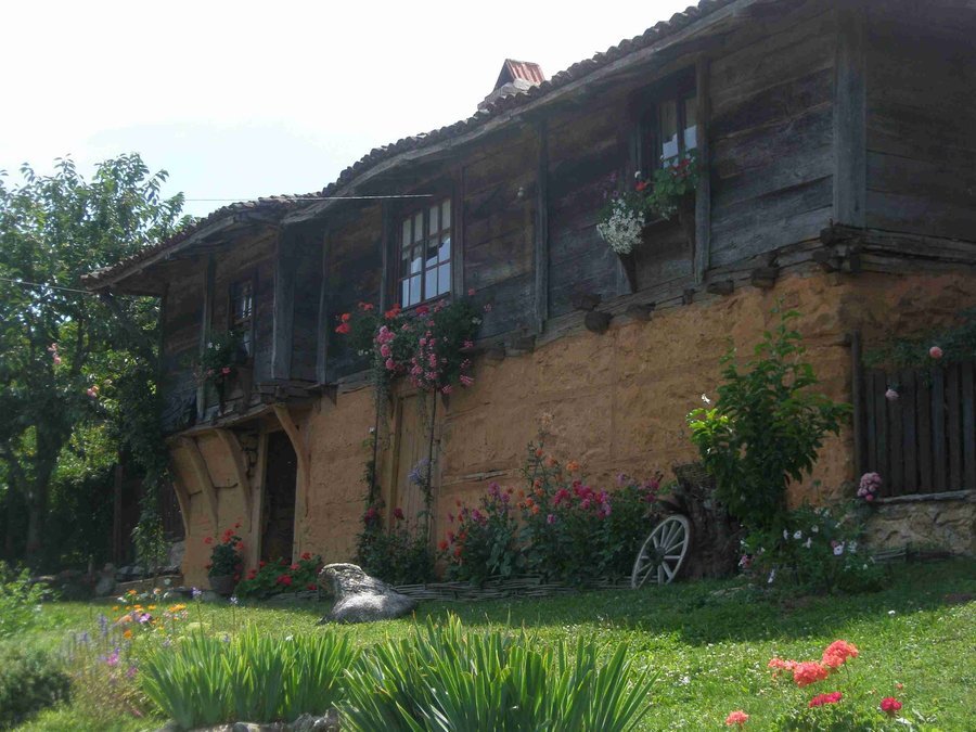 Балюва къща - Бръшлян