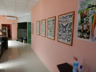 Къща на Пеперуди