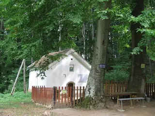 Ерулски манастир "Света Троица" - Душинци