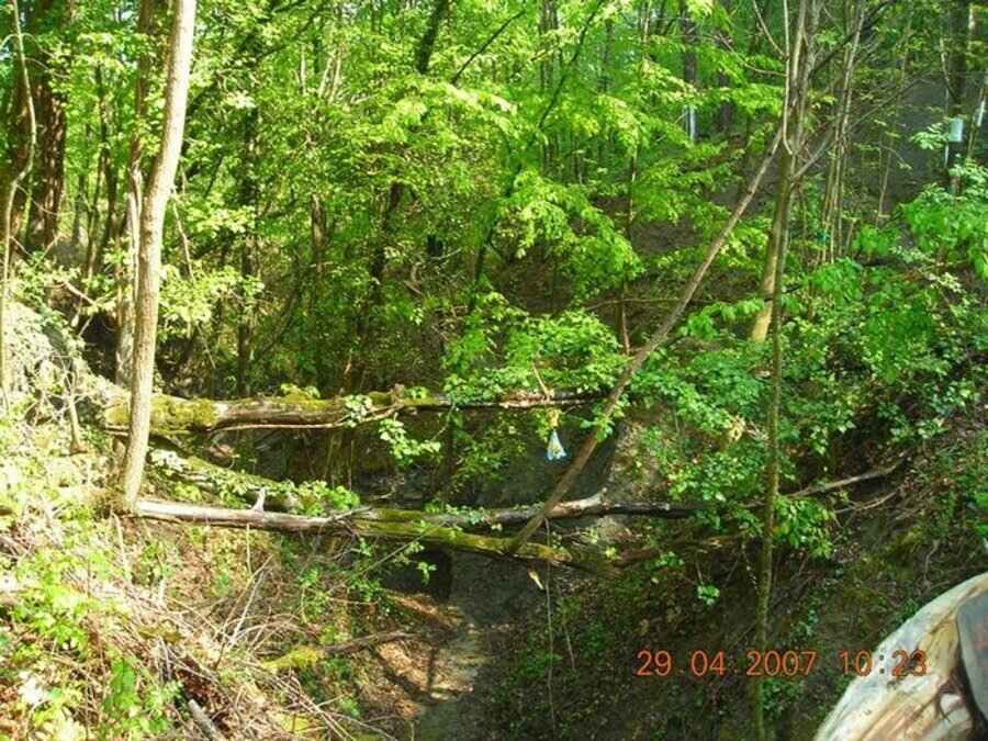 Природен парк "Небесните пасбища" - Осиковица