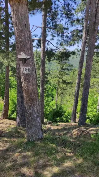 Екопътека "Св Неделя" - Златоград