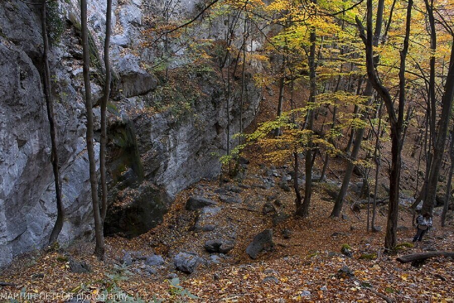 Резерват "Соколна"