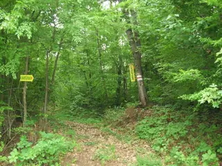 Местност "Божурица" - Видин