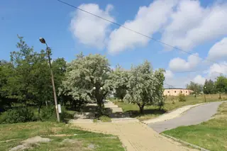 Градски парк - Бобов дол